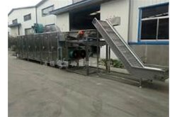 果蔬清洗機(jī)可以清洗哪些果蔬？